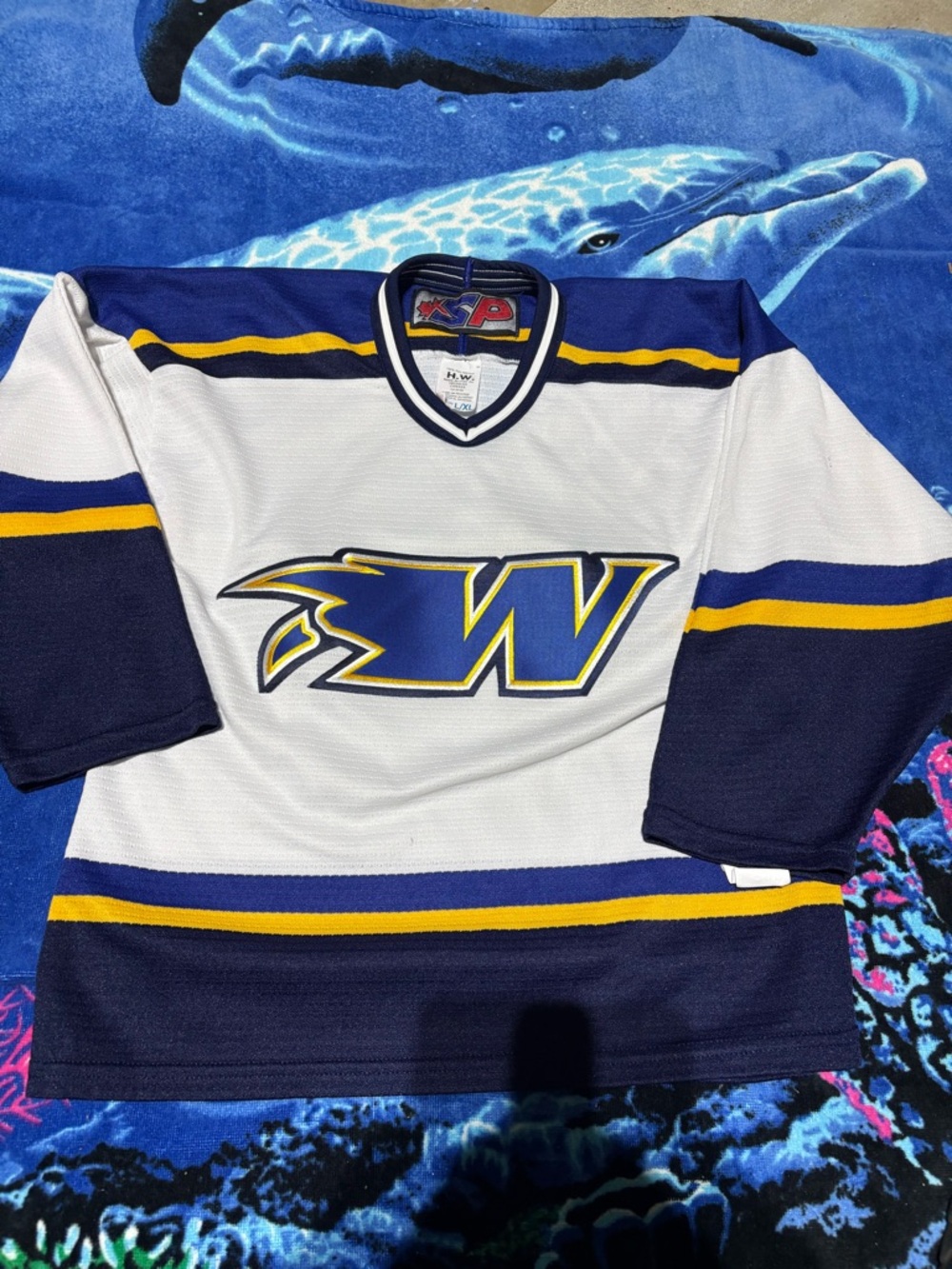 SP Alt Y2K WORCESTER ICE CATS Hockey Vintage AHL L/XL Hockey Jersey YOUTH